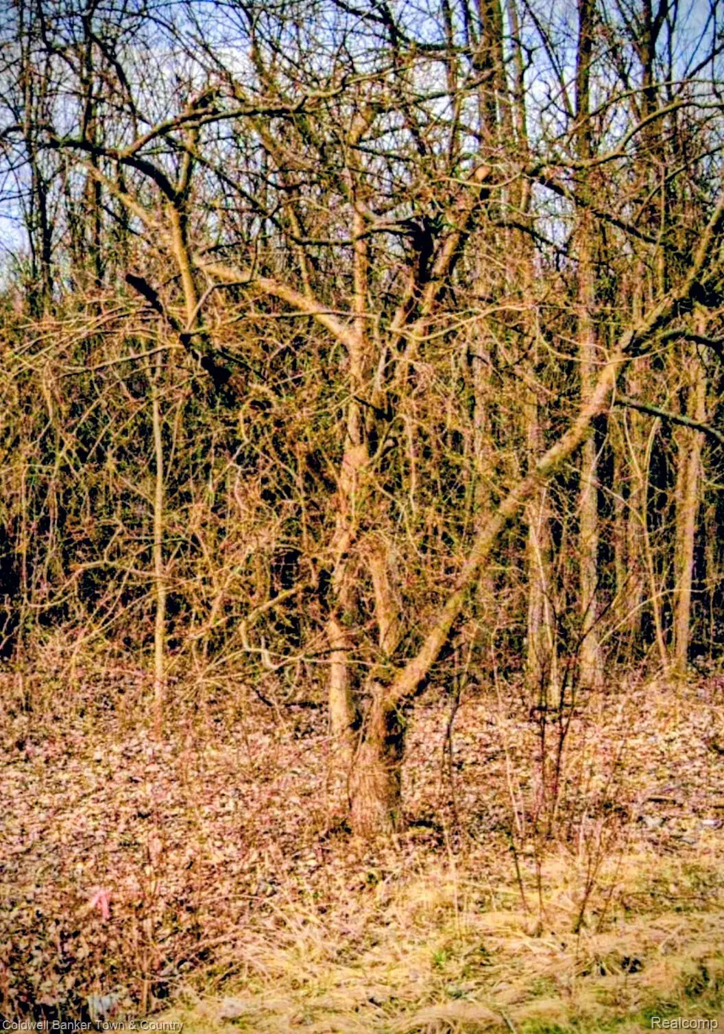 5931 N Territorial Road E, Ann Arbor, MI 48105 - Image #1