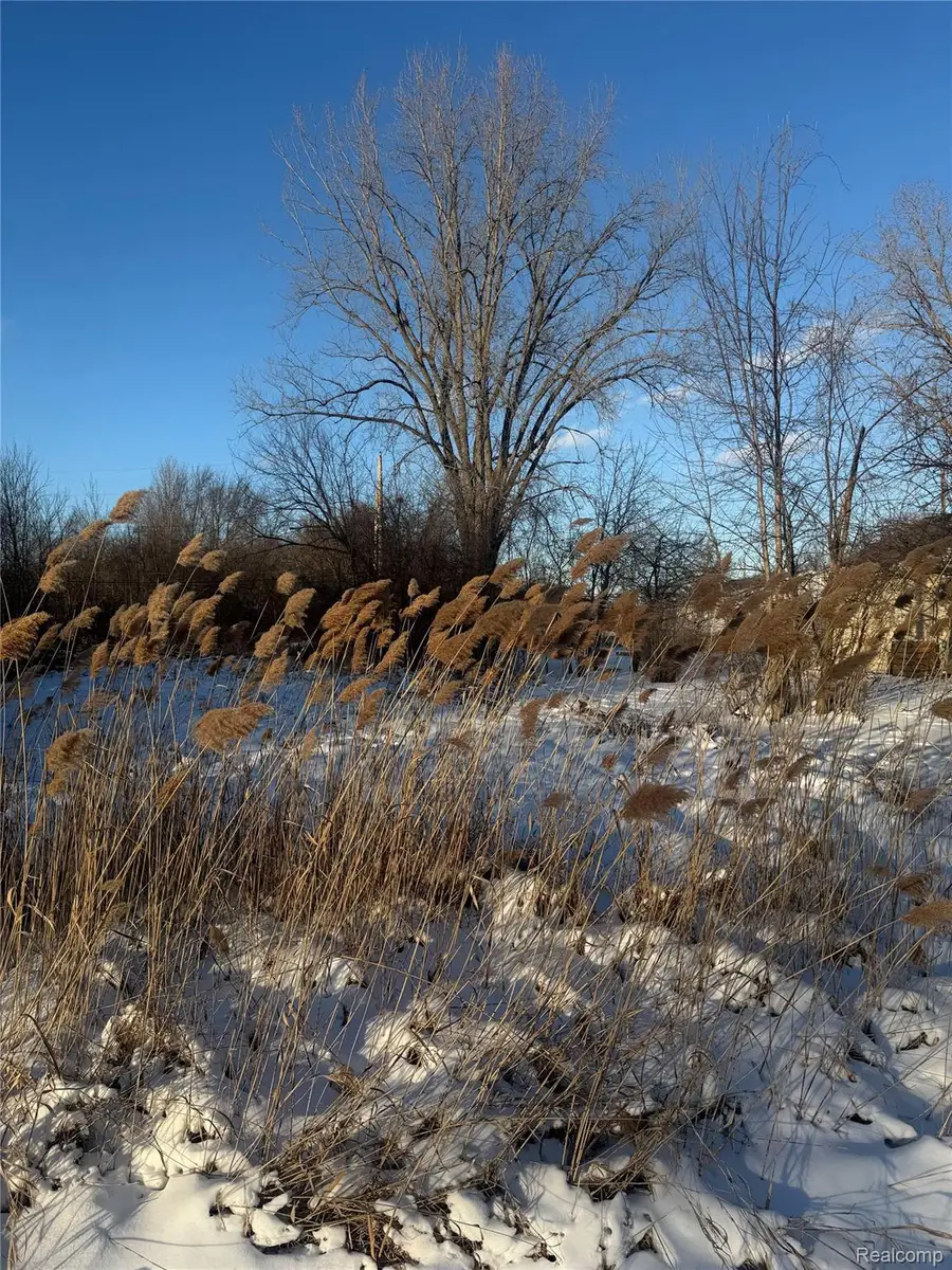 Sublot 41 Charles, Grosse Pointe, MI 48035 - Image #2