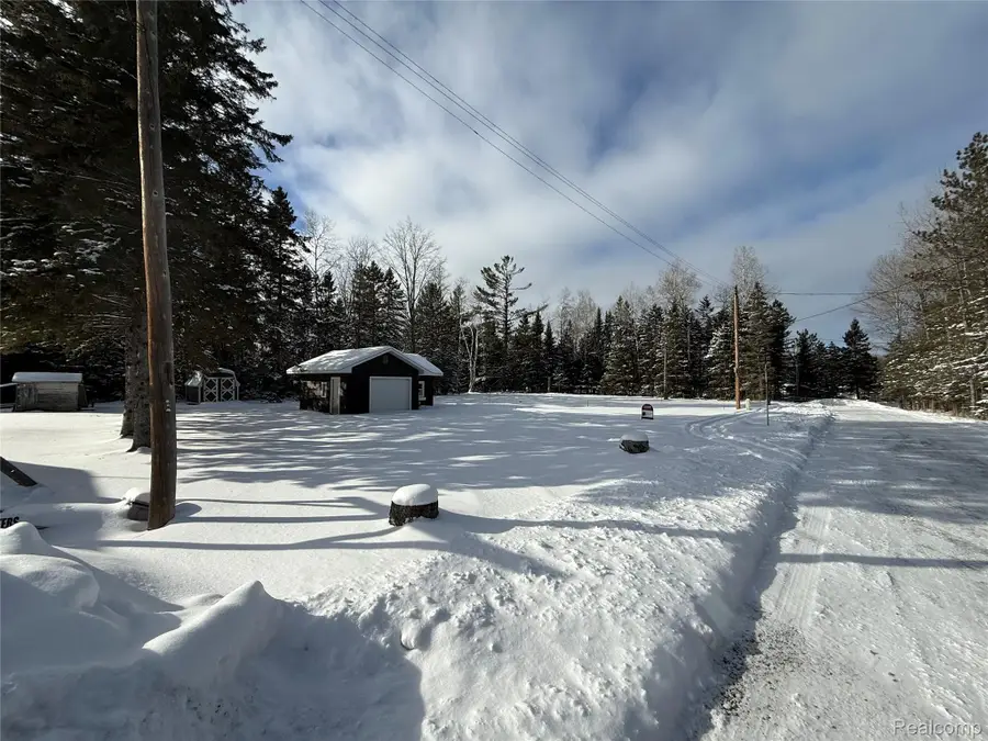 4443 N Cherry Road N, Lincoln, MI 48742 - #2