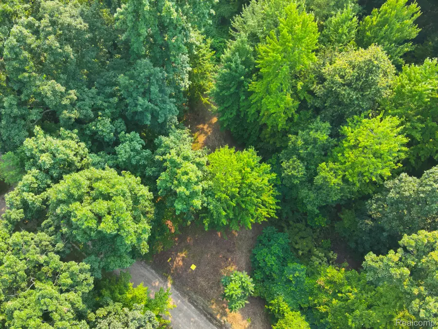 V/L Frushour Drive, Holly, MI 48442 - #2