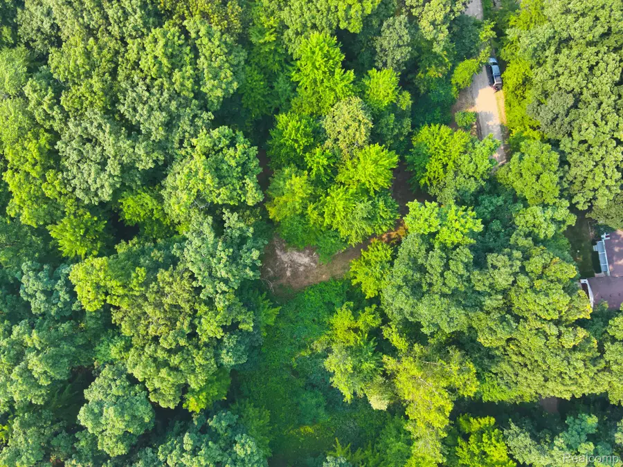 V/L Frushour Drive, Holly, MI 48442 - #3