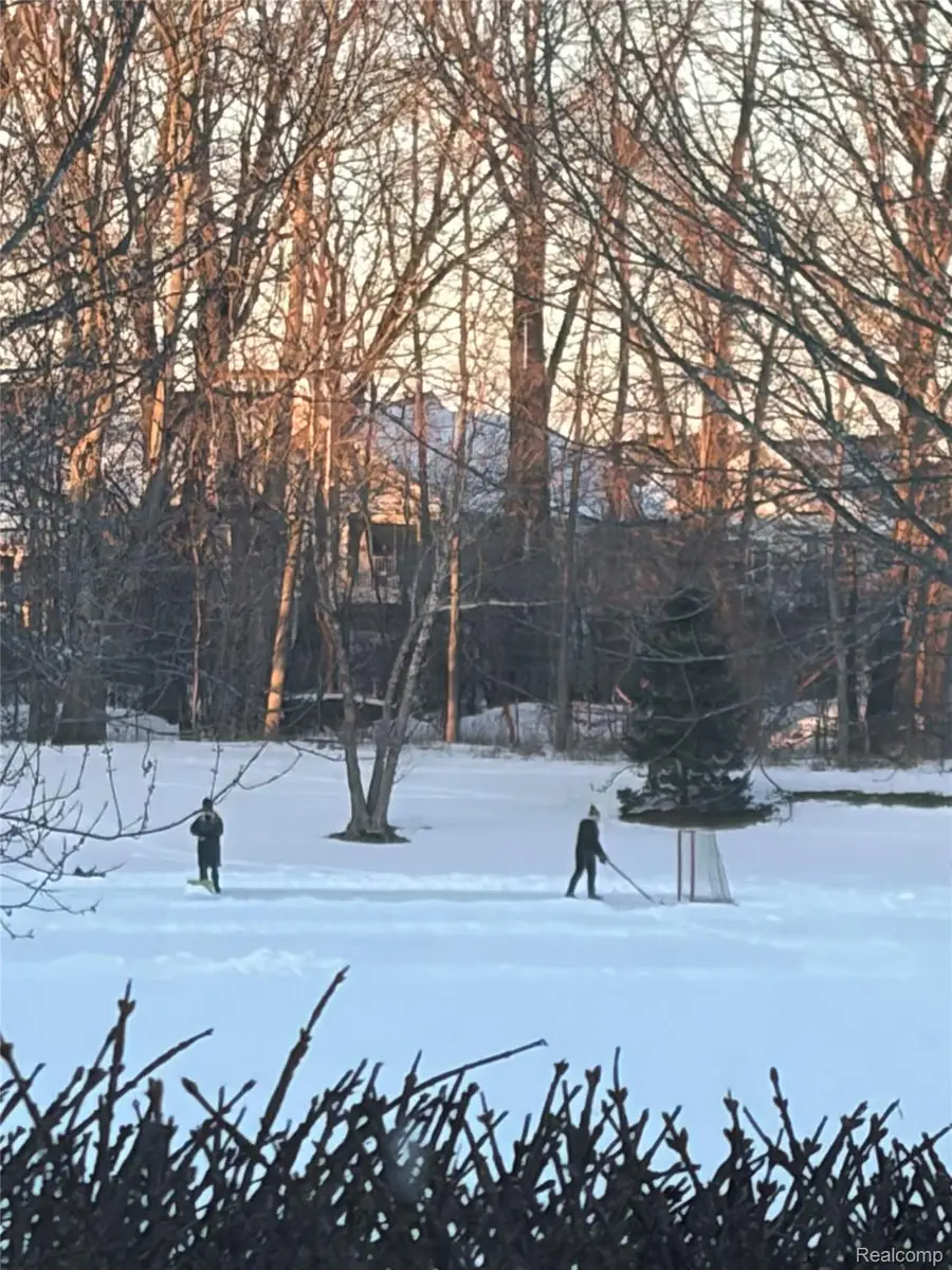 50070 Venice Court, Northville, MI 48168 - #3