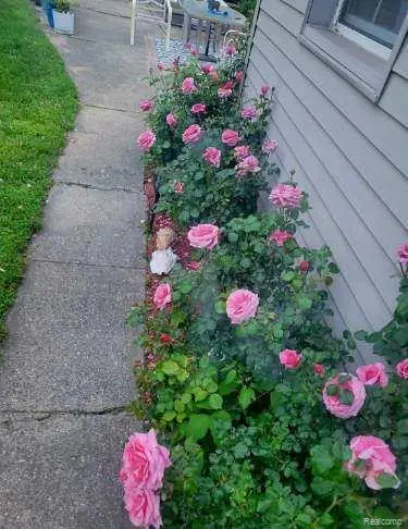 30917 Pardo Street, Garden City, MI 48135 - Image #3