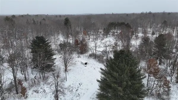 5785 Bringold, Lake, MI 48632