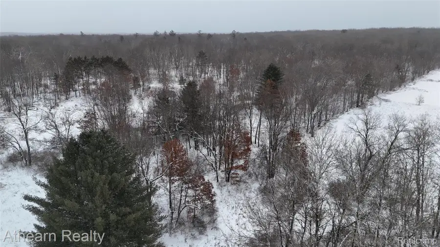 5785 Bringold, Lake, MI 48632 - #2