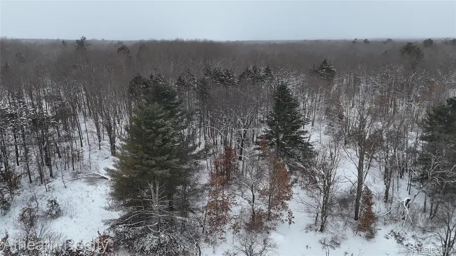 5785 Bringold, Lake, MI 48632 - #3