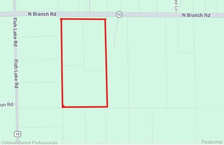 VL N Branch Road, North Branch Township, MI 48461 - #2
