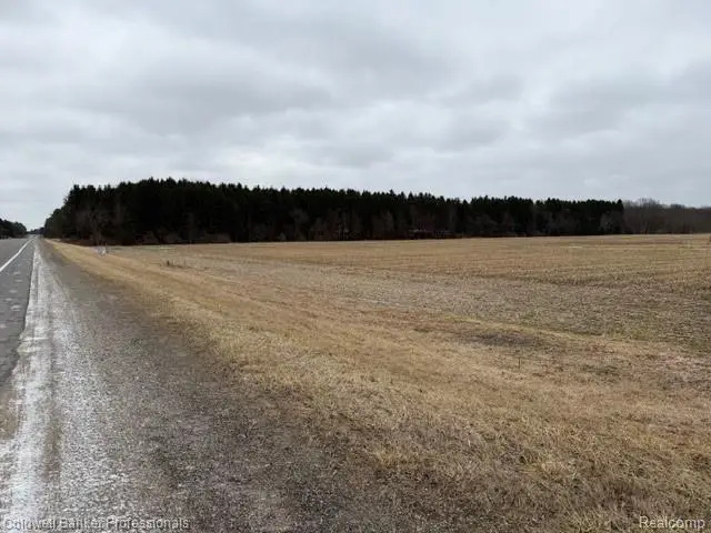 VL N Branch Road, North Branch, MI 48461 - #3