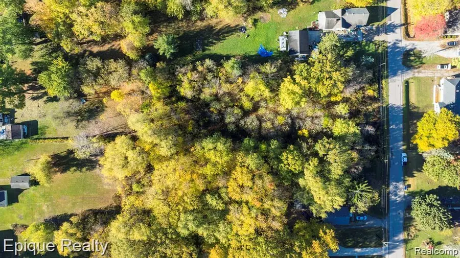 0000 Henry Street Henry Street, Port Huron, MI 48060 - #3