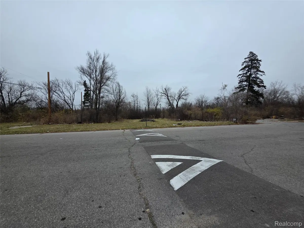 19628 Danbury Street, Detroit, MI 48203 - Image #1