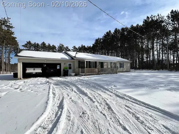 9061 S Lucas Road, McBain, MI 49657