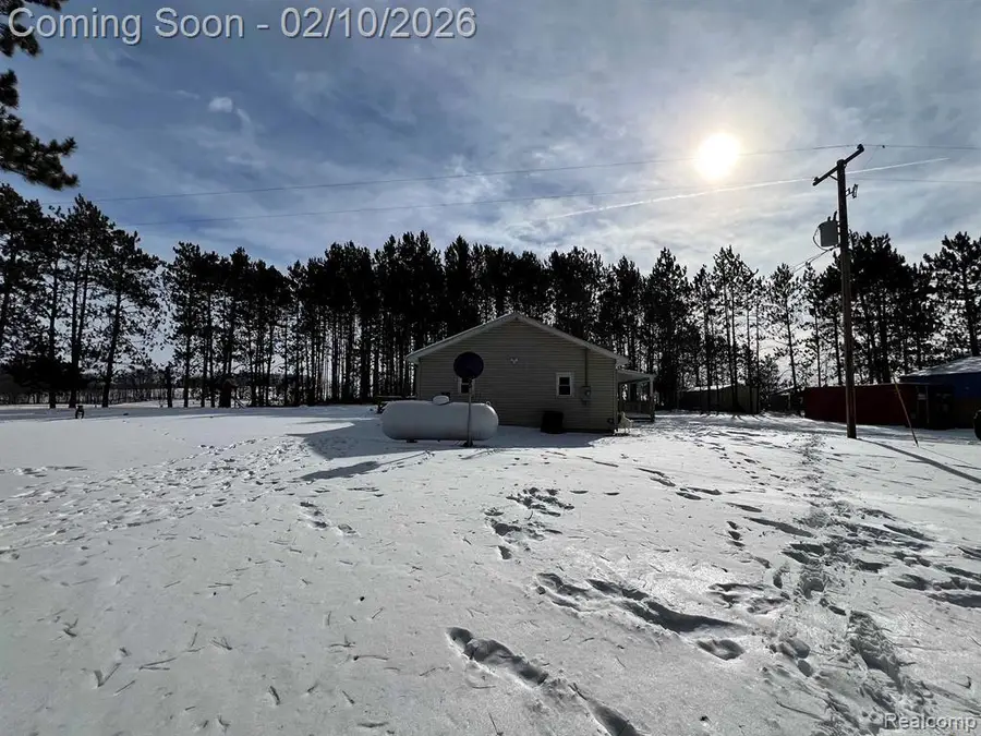 9061 S Lucas Road, McBain, MI 49657 - #2