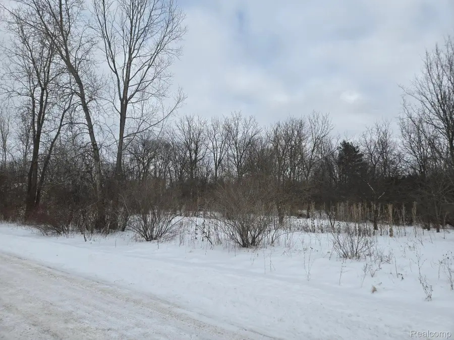 V/L Roat Court, Burton, MI 48509 - #2