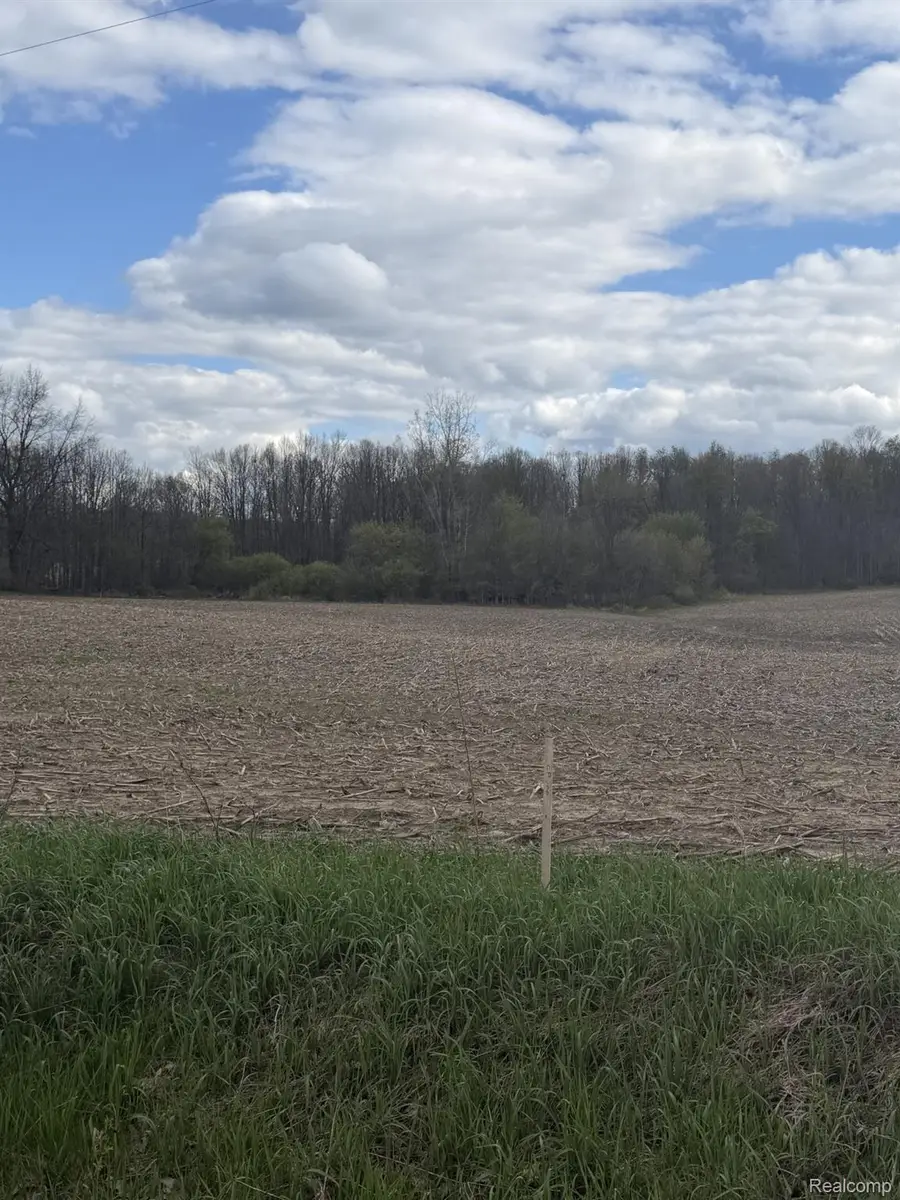 00 Thom Road, Oregon, MI 48721 - #3