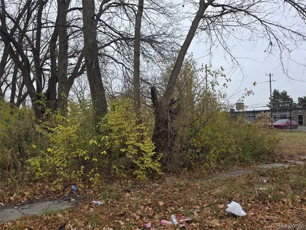 17163 Hawthorne Street, HighlandPark, MI 48203