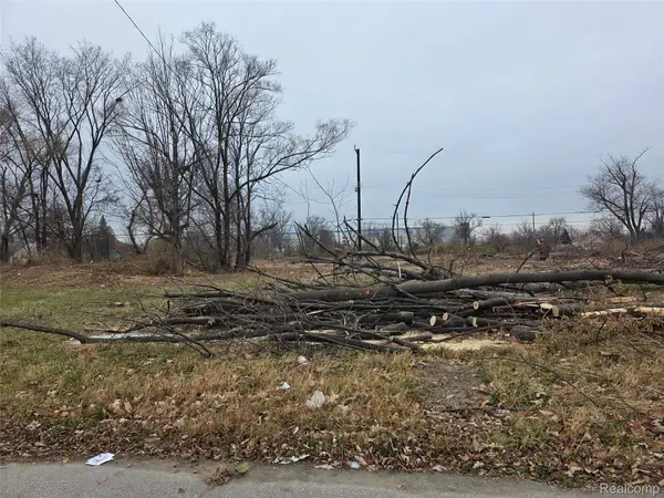 528 Adeline Street, HighlandPark, MI 48203