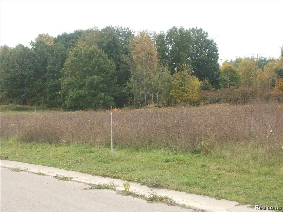 0000 Birch Meadows Lane, Fowlerville, MI 48836 - #3