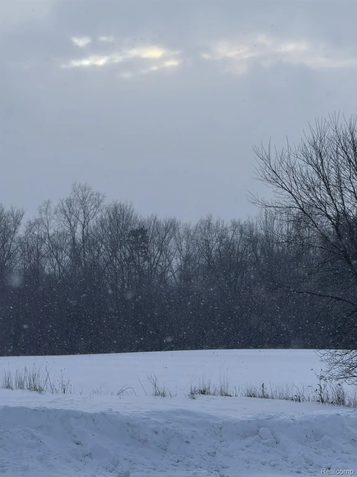 VL Levalley Road, Columbiaville, MI 48421 - #1