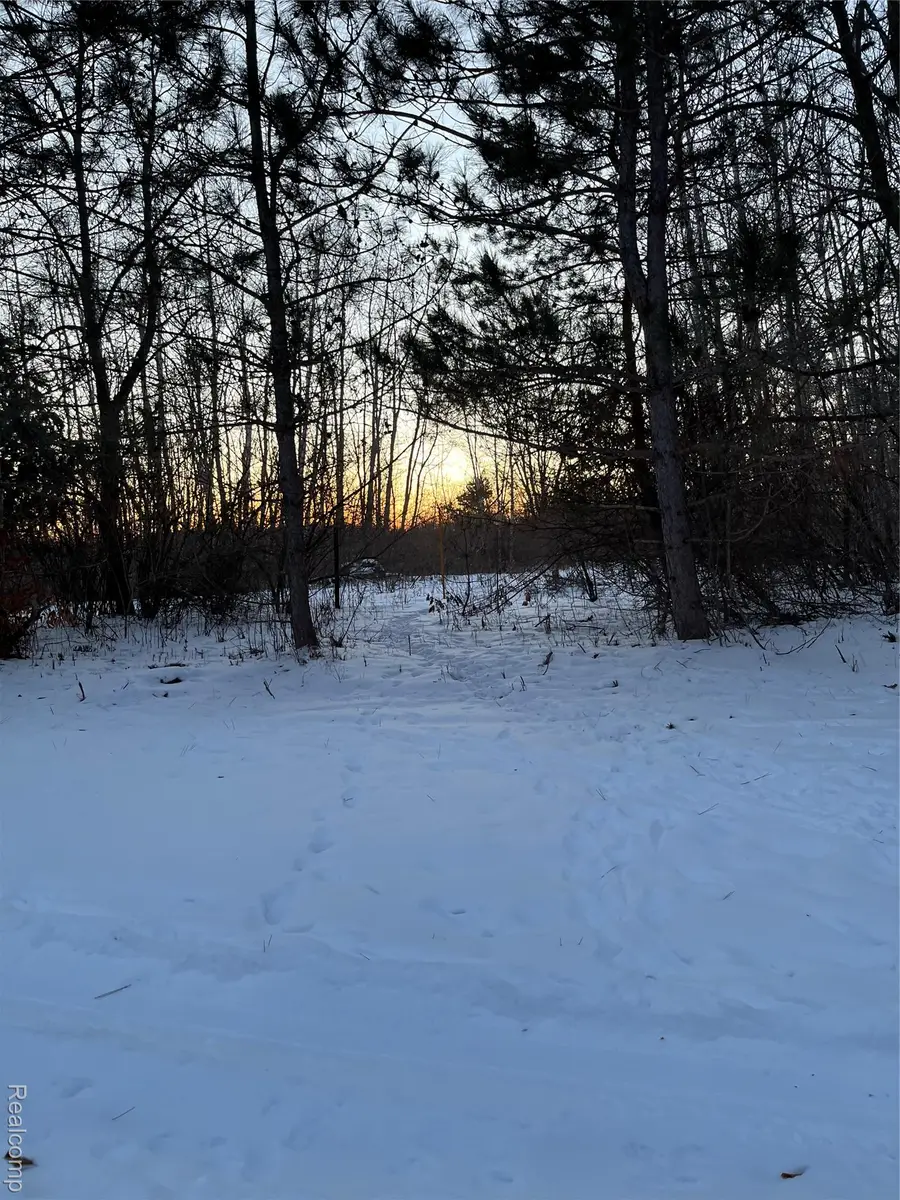 3000 S Genuine Road, Chippewa, MI 48858 - #2