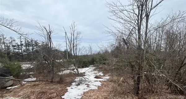 Lot 41 Altorf Strasse, Gaylord, MI 49735