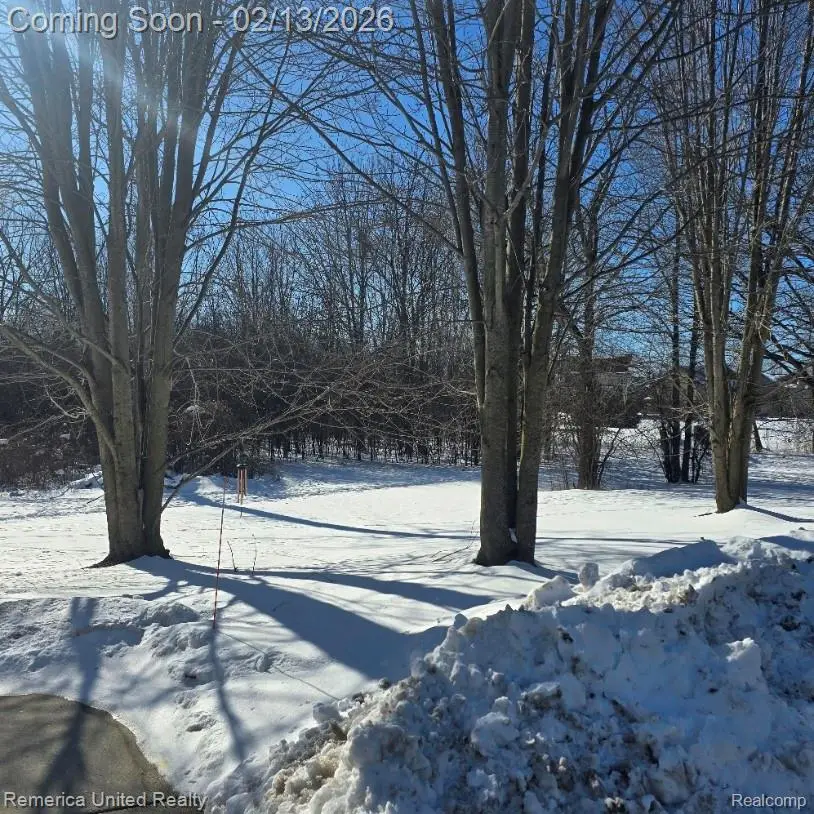 15942 Morningside, Northville, MI 48168 - Image #2