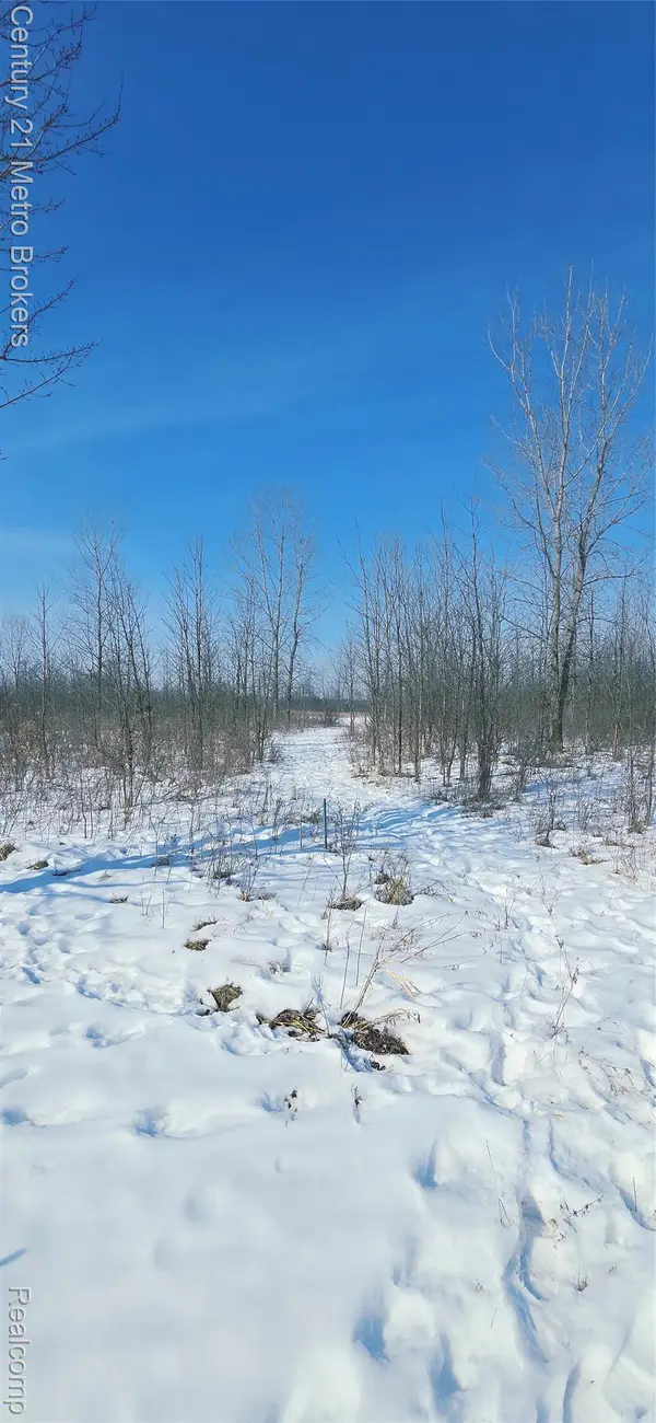 Parcel C Tabitha Lane, GrandBlanc, MI 48439