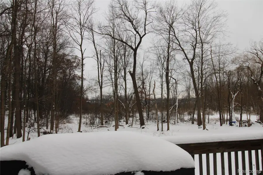 2005 Fairfield Avenue, Wixom, MI 48393 - #3