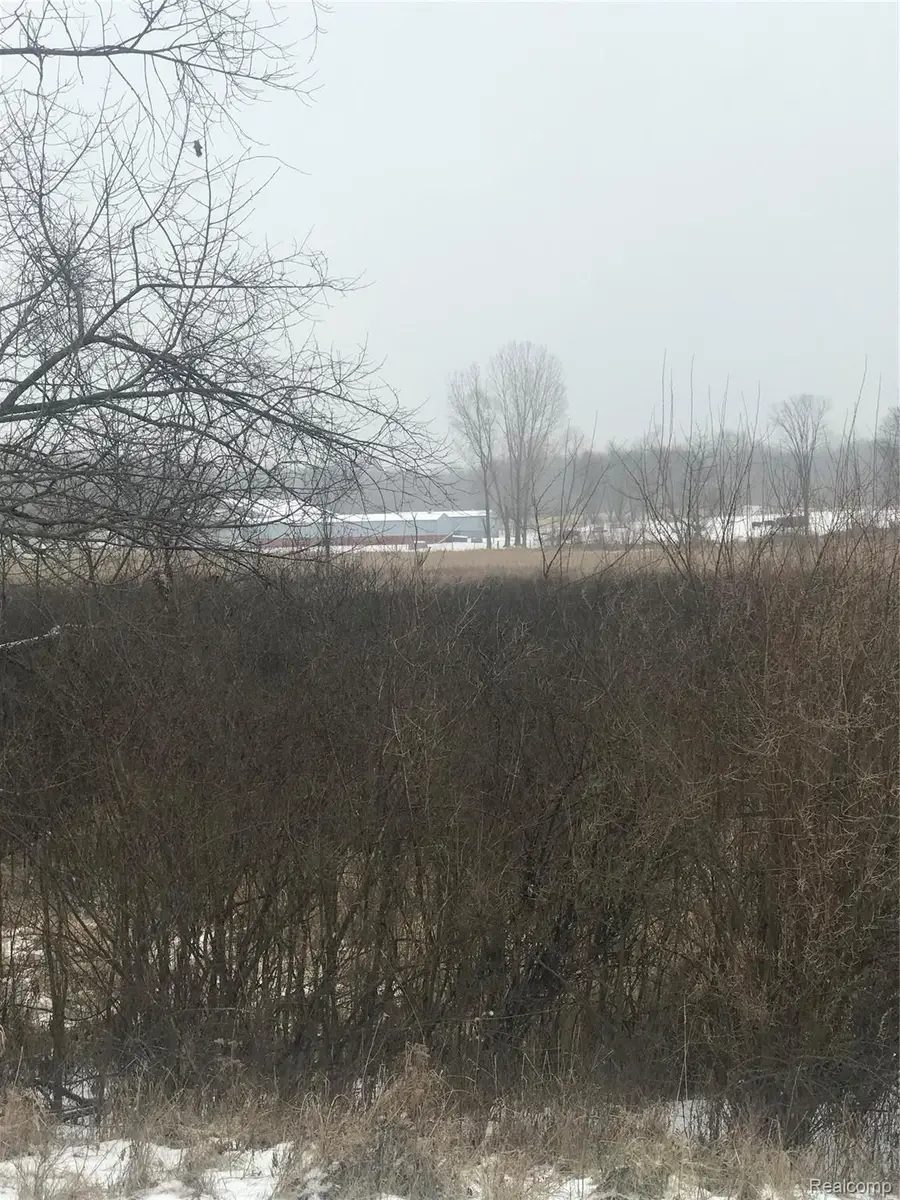 VL Hinchey Road, Pinckney, MI 48169 - #2