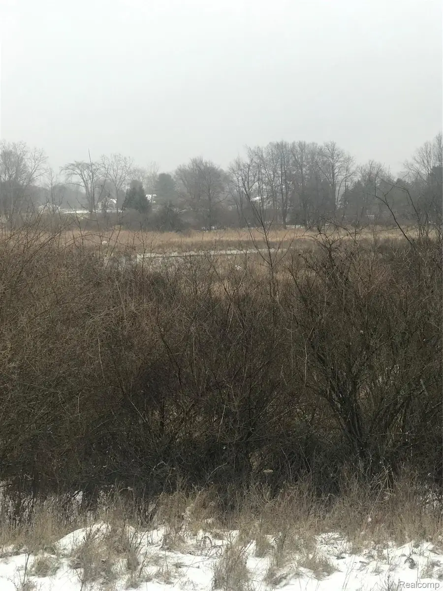 VL Hinchey Road, Pinckney, MI 48169 - #3