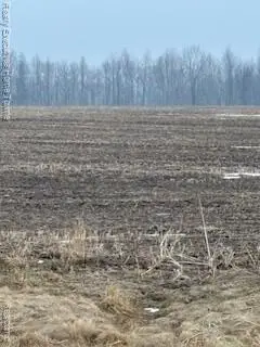 0 Jeddo Road, Greenwood, MI 48006 - #2