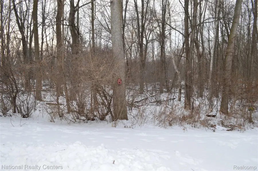 9642 Nook Road #7, Pearl Beach, MI 48001 - #3