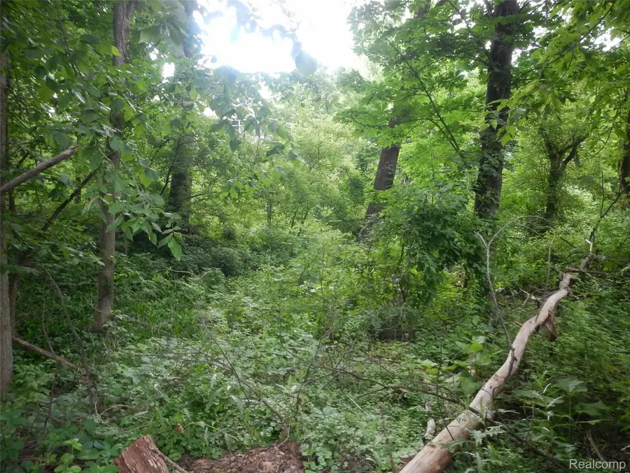 000 Johnson Drive, Orion, MI 48362 - #2