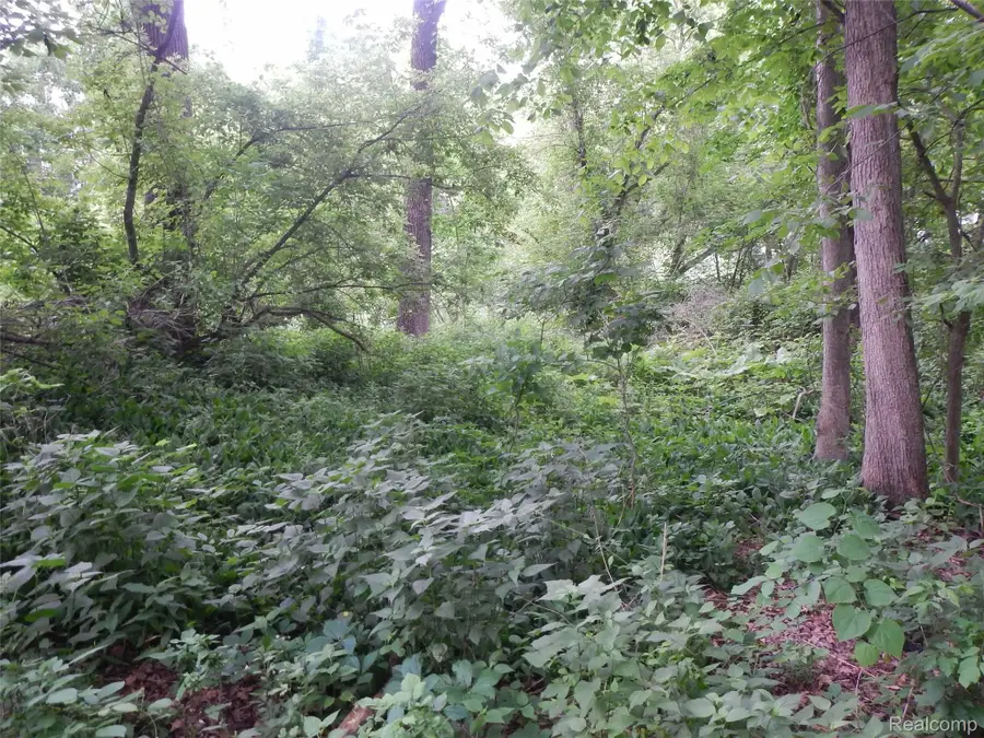 0000 Johnson Drive | Lot 4, Lake Orion, MI 48362 - #2