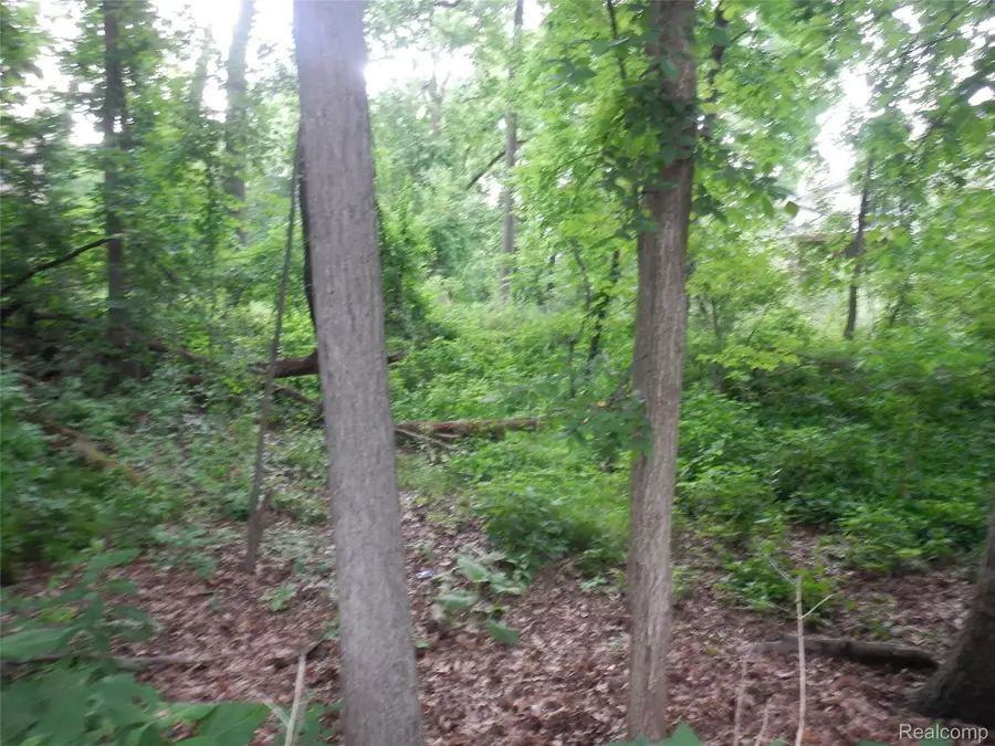 00000 Johnson Drive, Orion, MI 48362 - #2