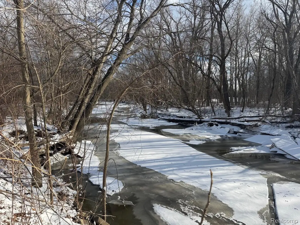 00 Remer Road, China, MI 48054 - #1