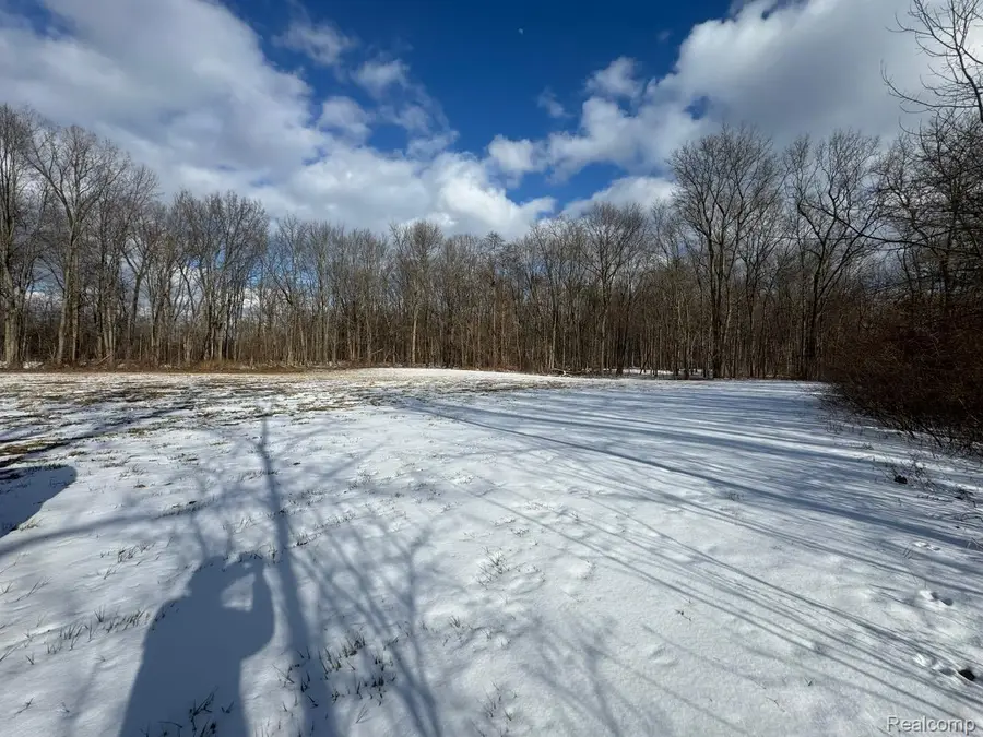 00 Remer Road, China, MI 48054 - #3
