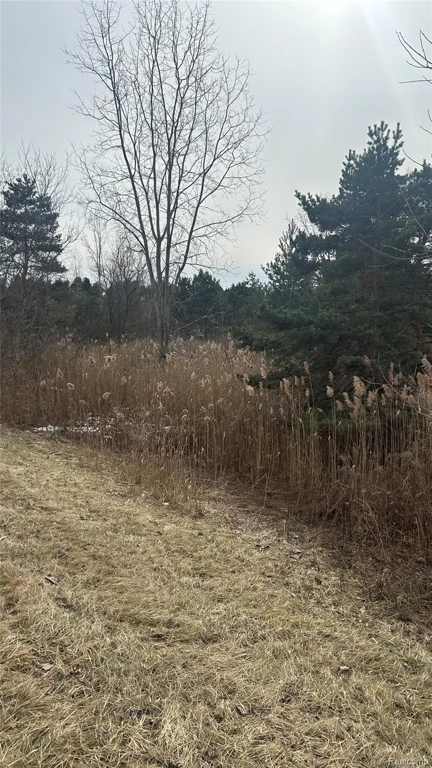 0 Ludwig, Oxford, MI 48371 - #3