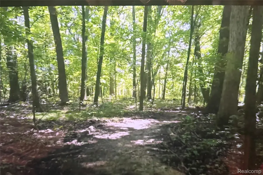 00 Rolling Acres Drive Rolling Acres Drive, Ortonville, MI 48462 - #3