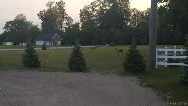 7696 Varty Court, Lexington, MI 48450