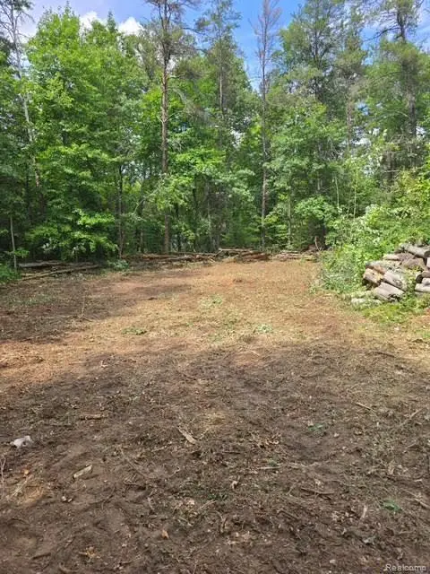 Lot 26 & Lot 27 Roberta Drive, Roscommon, MI 48653