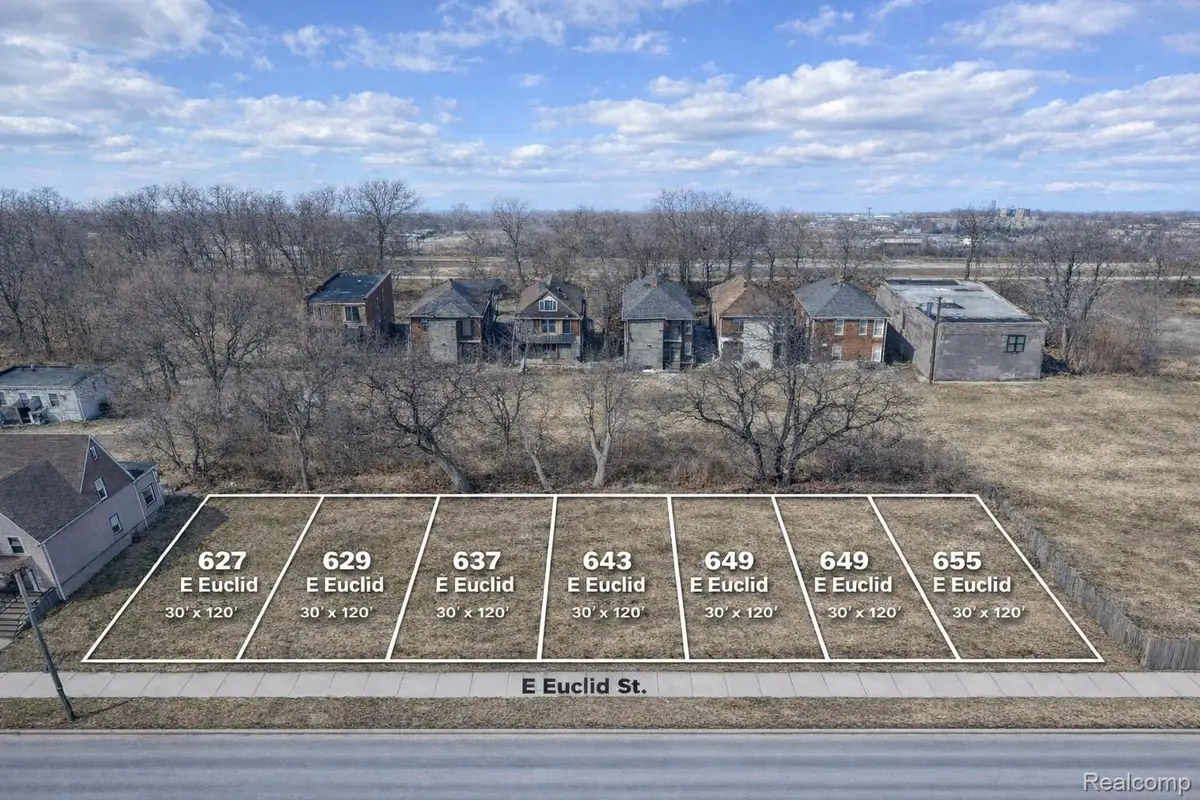 629 E Euclid Street, Detroit, MI 48202 - #1