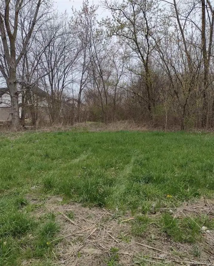 00 N Cotton Road, Chesterfield, MI 48047 - #2