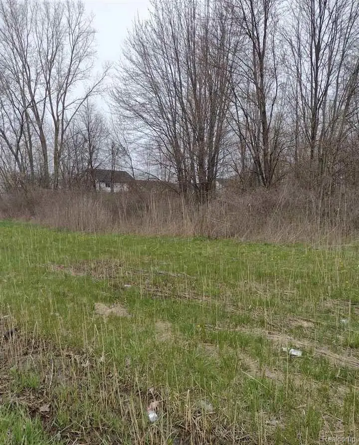 00 N Cotton Road, Chesterfield, MI 48047 - #3