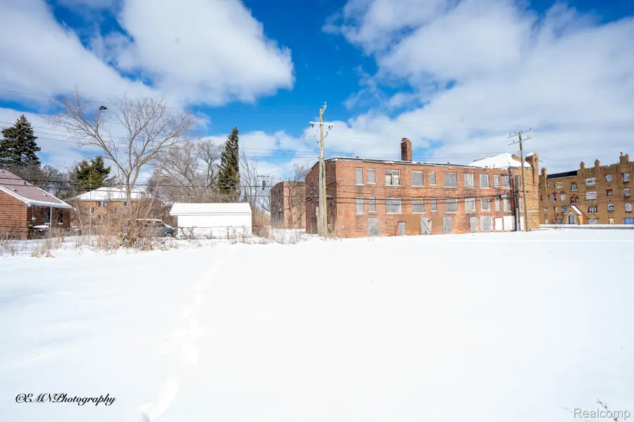 13523 Greiner Street, Detroit, MI 48205 - #2