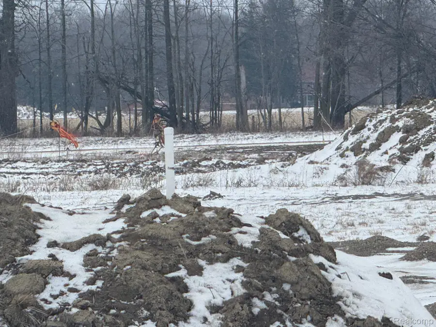 13199 Masters Rd Masters Road, Riley, MI 48041 - #2