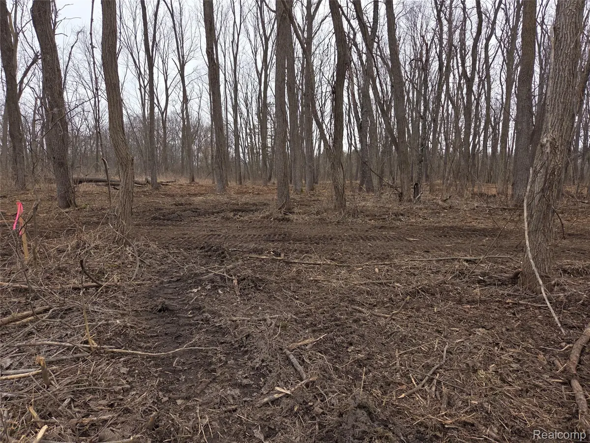 parcel C cullen rd Cullen Road, Hartland, MI 48353 - #1