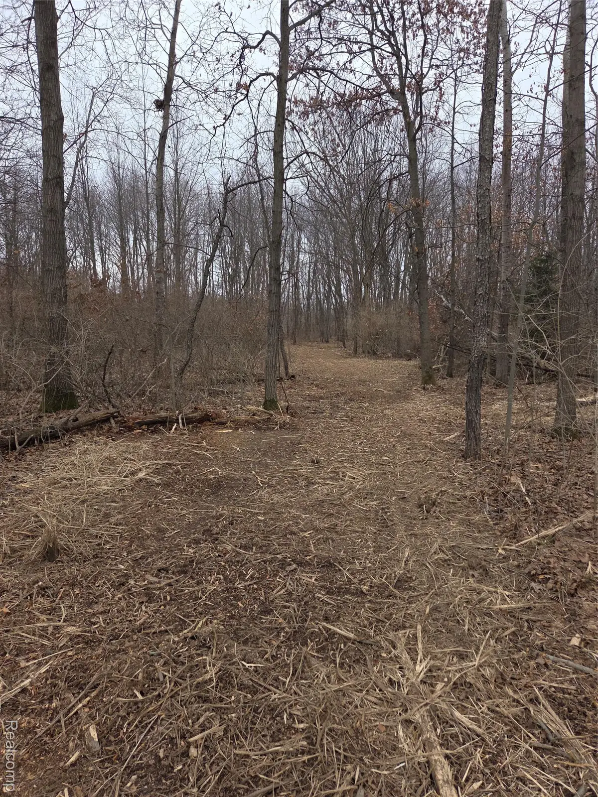 parcelA cullen rd Cullen Road, Hartland, MI 48353 - #1