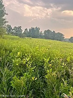 00 Vogt Road, Fowlerville, MI 48836 - #3