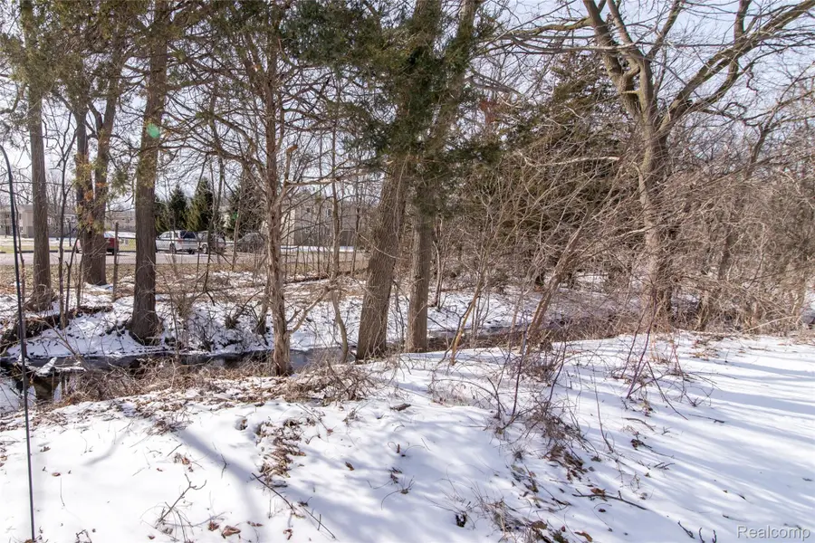 61047 Heritage Blvd, South Lyon, MI 48178 - #3