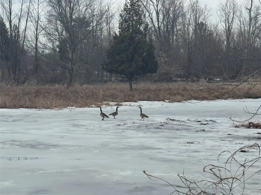 Address Withheld By Seller, Silverwood, MI 48760 - #2